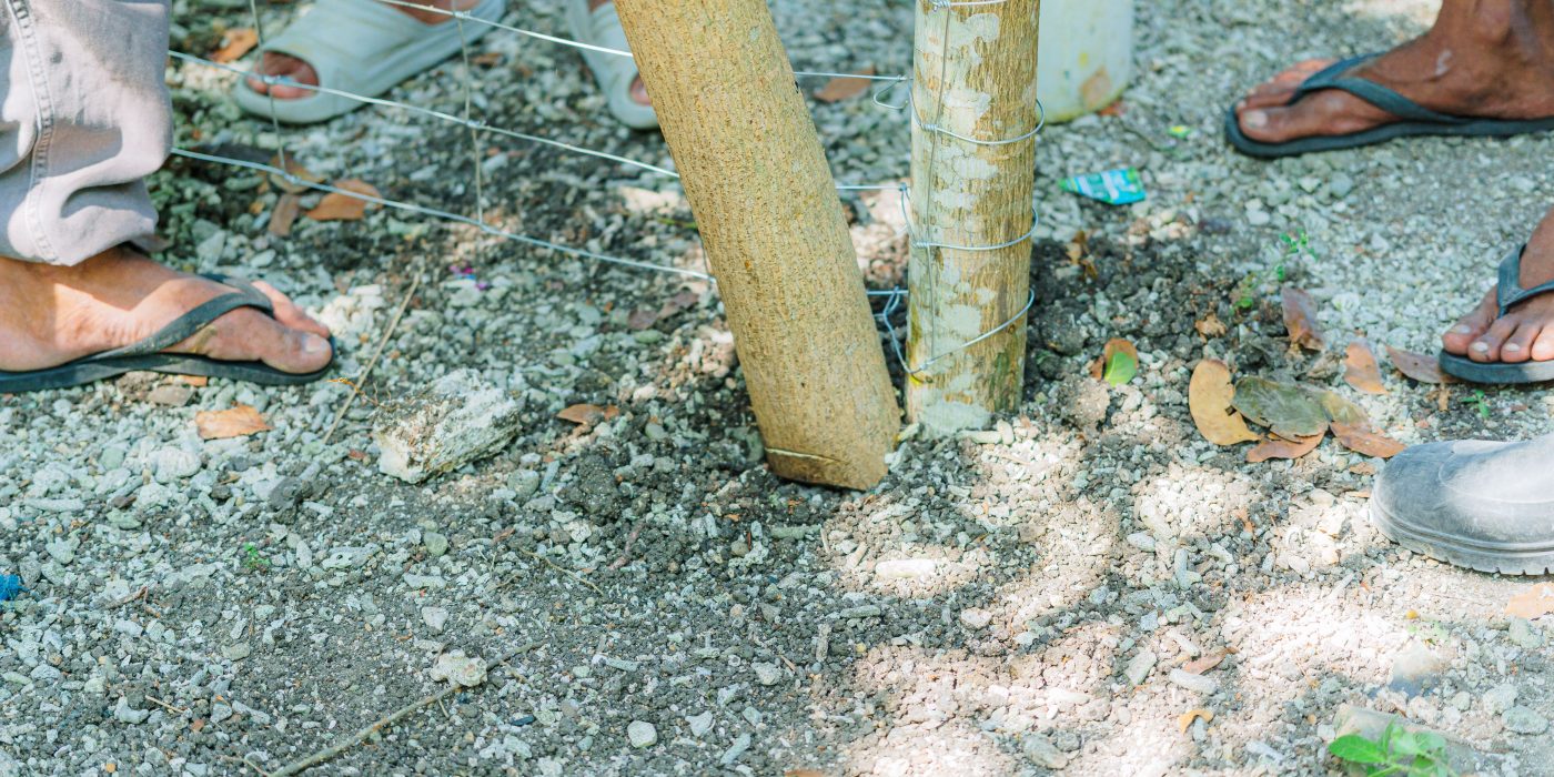 Comment construire une clôture en bois qui tient vraiment ?