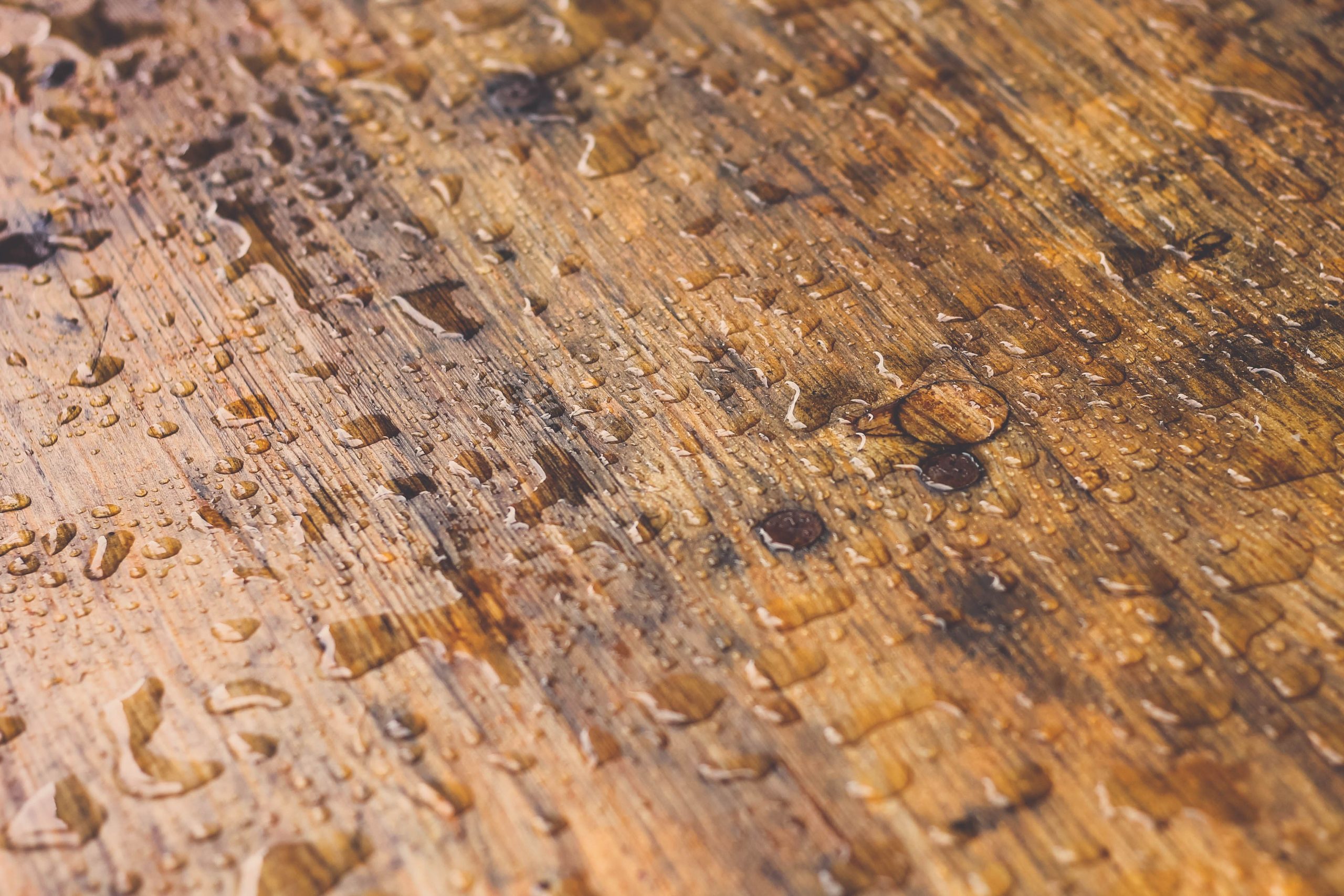 Gouttes eau surface bois texture naturelle