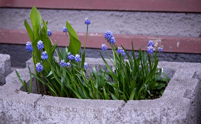 Comment fabriquer une jardinière en parpaing solide et pas chère ?