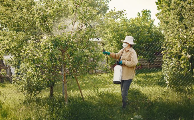 Par quoi remplacer efficacement la bouillie bordelaise sur tes plants ?